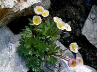 Climate change impacts biodiversity