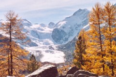 Biological diversity as an investment - Protected areas give the Alps a good image and help man and nature