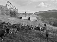 Future in the Alps comes to a close