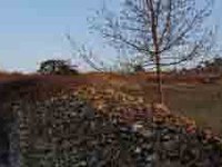 Catalogue of connectivity measures: new publication in English, French, German and Italian