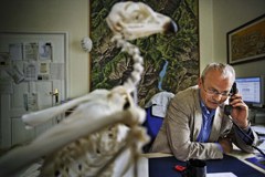 Nature abhors borders: Ecological Continuum and Econnect