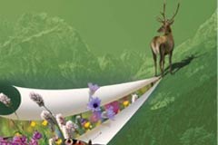 New publications for networking natural environments in the Alps
