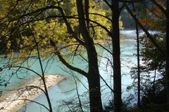 Power plant expansion on the Lech at the expense of nature conservation?