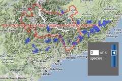 Innovative online tools to assess and visualise connectivity