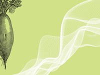 Cultural laboratory Alps