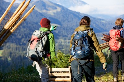 Climate crisis: solutions from nature