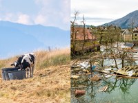 Climate risks: better to prepare than to wait