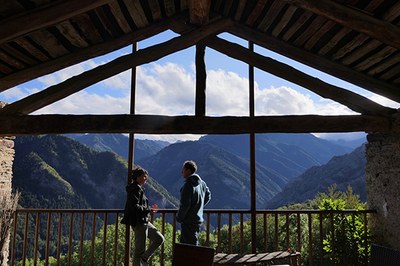 I-LivAlps: a conclusion for the future