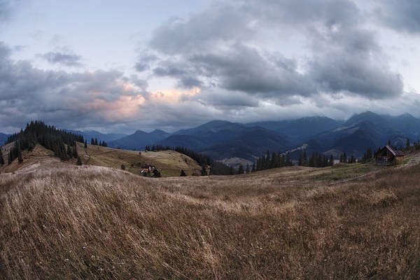 On the war in Ukraine