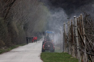 Poisoned playgrounds