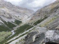 Protecting Alpine biodiversity