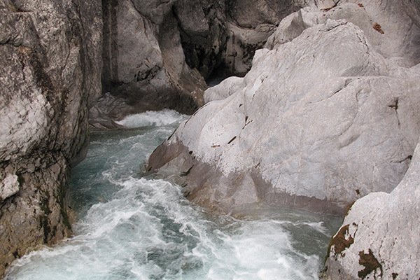 The real treasure of the Alps