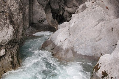 The real treasure of the Alps