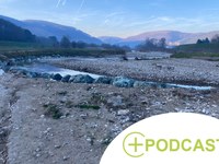 Too much water, too little water: excursion to the Vienna Woods