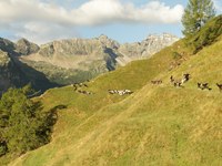 UNESCO recognizes Alpine season as cultural heritage