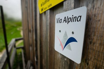Via Alpina: 20 years of long-distance hiking