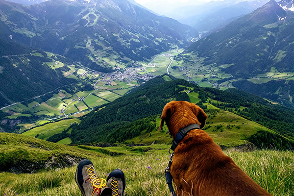 What the landscape tells us