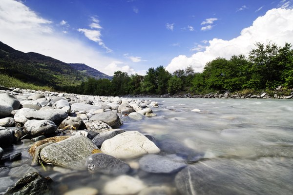 When nature loses, we all lose