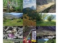 Platform Ecological Network