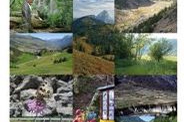 Platform Ecological Network