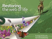 Restoring the web of life