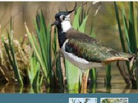 10 messages for 2010 – Cultural landscapes and biodiversity heritage