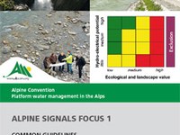Alpine Signals Focus 1