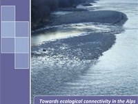 Towards ecological connectivity in the Alps