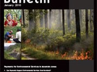 Payments for Environmental Services in Mountain Areas