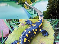 Step by Step to ecological connectivity