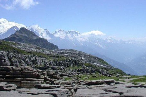 Courrier à Ségolène Royal