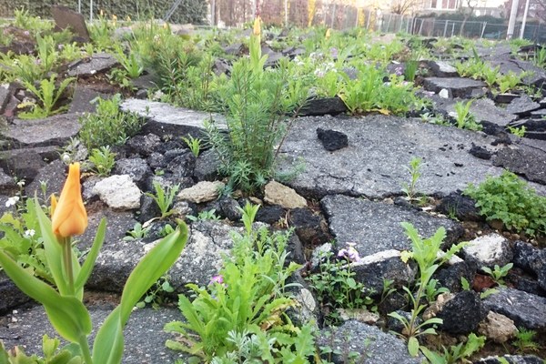 L’artificialisation des sols aggrave le problème de la chaleur