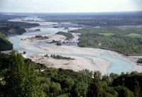 Initiative internationale contre la destruction du fleuve Tagliamento