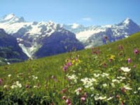 Prix touristique pour les paysages culturels