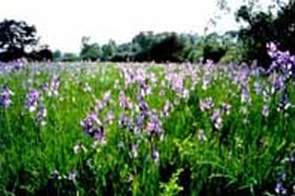 Conférence internationale " Gestion des sites Natura 2000 "