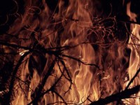 En Italie, des centaines d'hectares de forêt partent en fumée