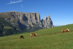 Giralpeggi - un projet de tourisme d'alpage