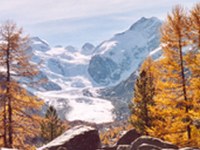 La protection de la biodiversité paye - Les espaces protégés offrent aux Alpes une bonne image et sont bons pour l'homme et la nature