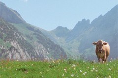 La politique touristique à la  loupe - les fonds publics sont-ils utilisés de manière durable?