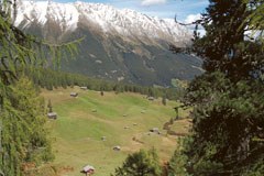 Savoir vécu dans les Alpes