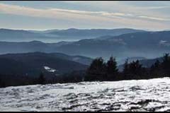 France : application du Grenelle de l'Environnement dans les parcs naturels