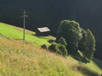 Quelle agriculture pour l'Europe ?