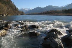 Regain de vie pour le Rhin supérieur