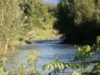 Lente progression du plan d'action climatique de la Convention alpine