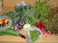 Produits bio : grosse demande - offre régionale insuffisante