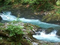 Le IIème Rapport sur l'état des Alpes prend le pouls des cours d'eau alpins