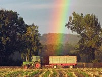 Du nouveau en provenance de la SAVE Foundation