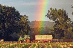 Du nouveau en provenance de la SAVE Foundation