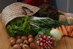 Sonthofen/D s'engage en faveur du commerce équitable et du climat