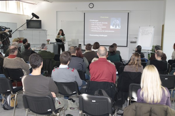 Un plan d'action pour la conservation du lynx en Europe